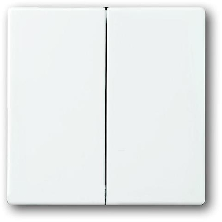 ABB 1751-0-3076 Клавиша для механизма 2-клавишных выключателей/переключателей/кнопок, серия solo/future, цвет davos/альпийский белый