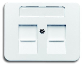ABB 1753-0-8121 Плата центральная (накладка) для коммуникационных розеток с суппортами 1810, 1812, 1814, 1816 и 1818, с полем для надписи, серия alpha nea, цвет белый матовый