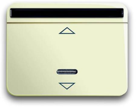 ABB 2CKA006020A1318