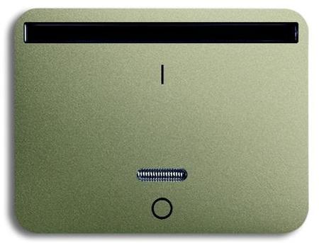 ABB 2CKA006020A1369