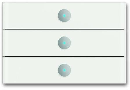 ABB 2CKA006310A0172