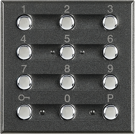 BTicino HS4606 Axolute Устройства для включения/выключения охранной системы с использованием цифрогого ключа, цвет антрацит