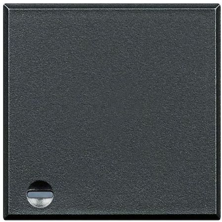 BTicino HC4921/2LG Axolute Клавиши с подсвечиваемыми символами для выключателей в дизайне AXIAL - 2 модуля, музыка, цвет алюминий