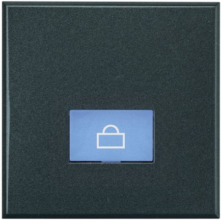 BTicino HS4921/2LP Axolute Клавиши с подсвечиваемыми символами для выключателей в дизайне AXIAL - 2 модуля, Посыльный, цвет антрацит