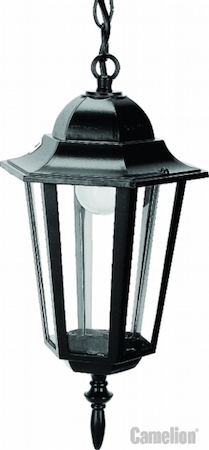 Camelion 2868 4105 (Черный) Светильник улично-садовый 230В 60Ватт