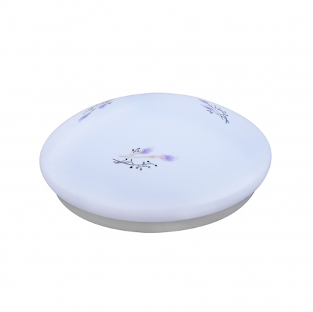 ERA Б0029160 576863 SPB-6-10-4K LILY Бытовые свет ЭРА SPB-6 Светодиодный светильник 10Вт, 4000К, 700 Лм, "Lily", 215*80 мм
