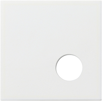 Gira 023503 Afdekking Ackermann 73020 C Systeem 55 zuiver wit
