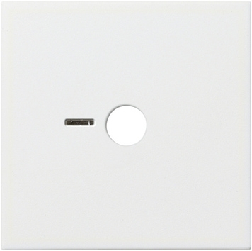 Gira 023403 Afdekking Ackermann 70006 C Systeem 55 zuiver wit