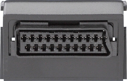 Gira 009300 Вставка с гнездом Scart/Euro-AV