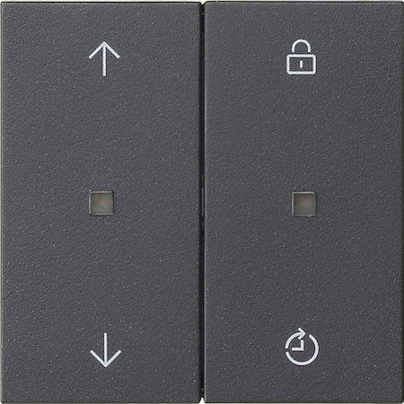 Gira 536328 Накладка управления Memory System 3000