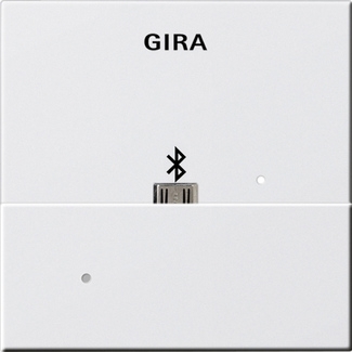 Gira 228527 Адаптер USB Mikro-B для вставки док-станции