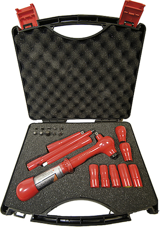 Haupa 110869 Torque Socket Set        1/4