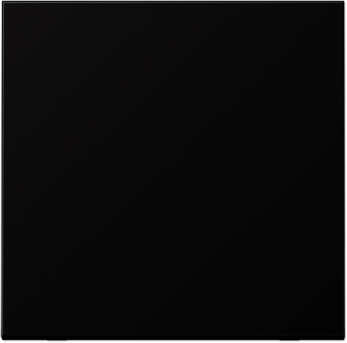 JUNG AL2990D Dark Клавиша 1-я