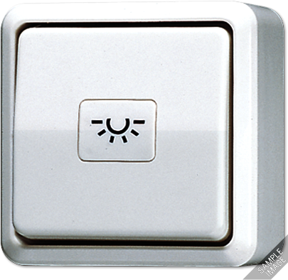 JUNG 634A Кнопка 10A 250V ~  для накладного монтажа