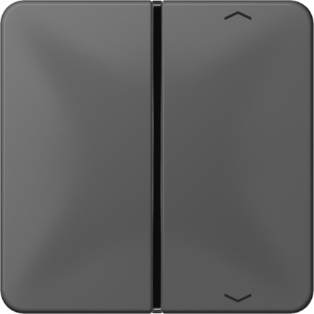 JUNG CD401TSAPGR клавиша с символом для пульта KNX, серая, для серии CD