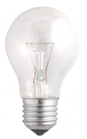 2859310 A55  240V  95W  E27  clear Jazzway  (Б 230-95-5) 