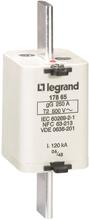 Legrand 017865 Пл.вставк.gG/gL250A с/и,разм.2