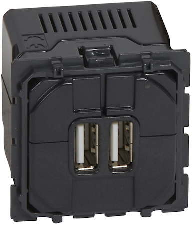 Legrand 067462 Celiane мех.USB роз. Двойной