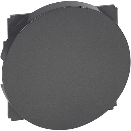 Legrand 067943 CLN2 Накл. заглушки Графит
