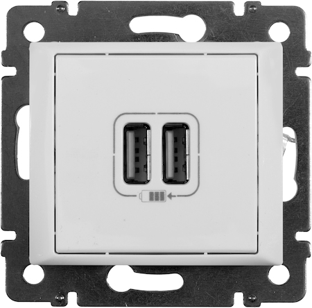 Legrand 770470 2-pозетка USB БЕЛ VLN