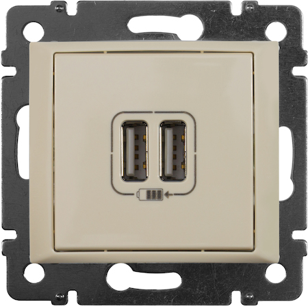 Legrand 774170 2-pозетка USB СЛНК VLN