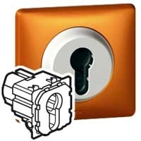 Legrand 67009 Выключатель с ключом 2-позиционный - Программа Celiane - 230 В~