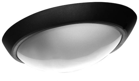 Lena Lighting 020100 LL Eliptic  1x100W E27 Светильник накладной черн.(овал, мат.стекло) IP44
