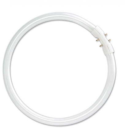 Osram 4050300528465 FC 22W/840 12X1                    OSRAM
