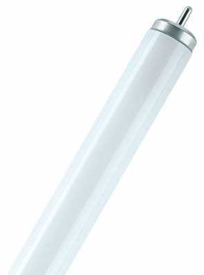Osram 4050300014654 Трубчатая  лампа BASIC T8 L 40W/640 XL FA6 25X1          OSRAM