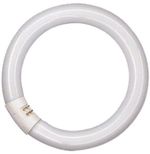 Osram 4008321581143 L 32W/840 C G10Q 12X1              OSRAM