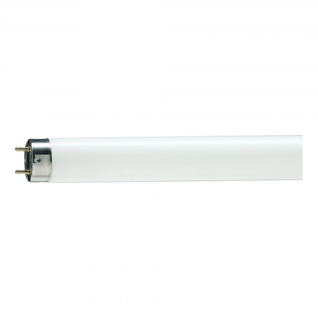 Philips 871150070277740 TL-D 15W/33 - 640 SLV/25