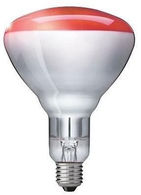 Philips 923212043801 Лампа IR250RH BR125 230-250V E27 1CT/10