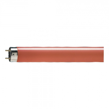 Philips 871150072684140 TL-D Colored 18W Red 1SL/25
