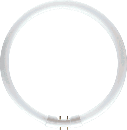 Philips 64097025 MASTER TL5 Circular - Fluorescent lamp - Power: 40 W - Метка энергоэффективности (EEL): A - Коррелированная цветовая температура (ном.): 3000 K