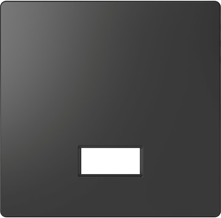 Schneider Electric MTN3350-6034 MERTEN D-Life КЛАВИША с полем д/символа, АНТРАЦИТ