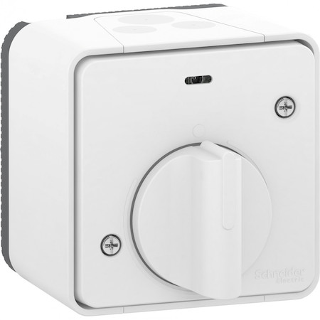 Schneider Electric MUR39067 MUREVA S ВЫКЛЮЧАТЕЛЬ с таймером В СБОРЕ О/У, БЕЛЫЙ, IP55