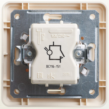 Schneider Electric VS116-151-28 W59 1-клавишный ВЫКЛЮЧАТЕЛЬ с подсвет., с самовозвр., 16АХ, в сборе, СЛ. КОСТЬ