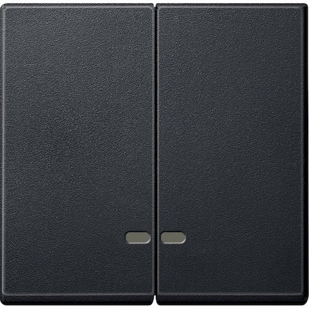 Schneider Electric MTN3420-0414 MERTEN КЛАВИША двойная с окошком д/световой индикации, АНТРАЦИТ, SM