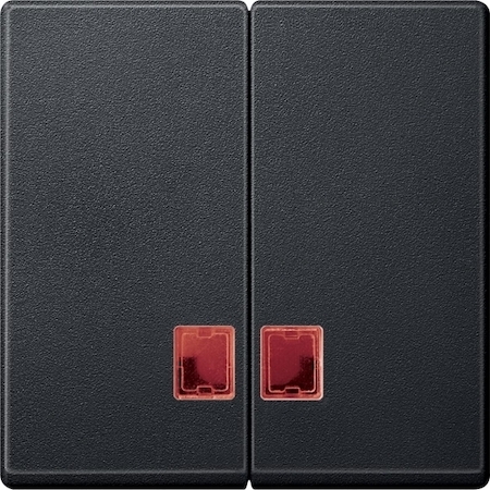 Schneider Electric MTN3456-0414 ДВЕ КЛАВ.С КР.ПРЯМОУГ.ОКОШ.Д/СВЕТ.ИНД.АН