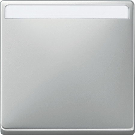 Schneider Electric MTN412346 MERTEN КЛАВИША с полем д/надписи, СТАЛЬ, SD
