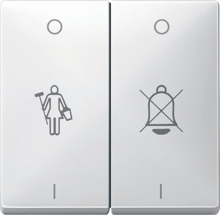 Schneider Electric MTN412619 MERTEN КЛАВИША Х2 с пикторгаммами, ПОЛ.БЕЛЫЙ, SD
