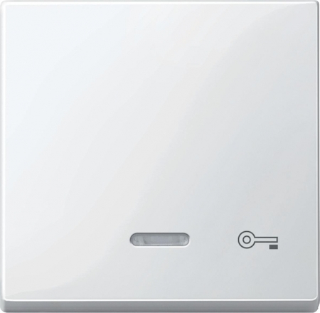 Schneider Electric MTN435319 MERTEN КЛАВИША с окошком д/свет.индикации и пиктогр"ключ", ПОЛ.БЕЛЫЙ, SM