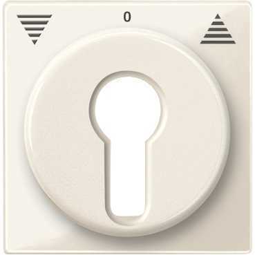 Schneider Electric MTN319444 ЦЕНТ.ПЛАТА Д/МЕХ.КНОП.ВЫКЛ Д/ЗАМ.ЦИЛ.БЕЖ