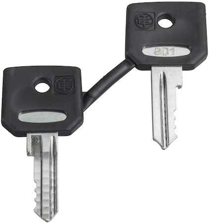 Schneider Electric ZBDA185 НАБОР ЗАПАСНЫХ КЛЮЧЕЙ 4А185, 2 ШТ.