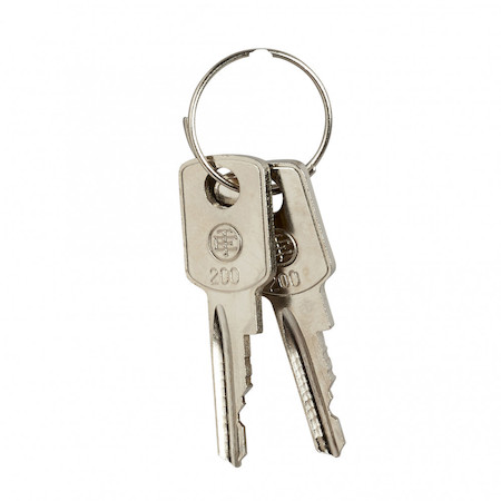 Schneider Electric ZB6Y007 НАБОР КЛЮЧЕЙ ДЛЯ ПЕРЕК-ЛЯ, 2 ШТ.