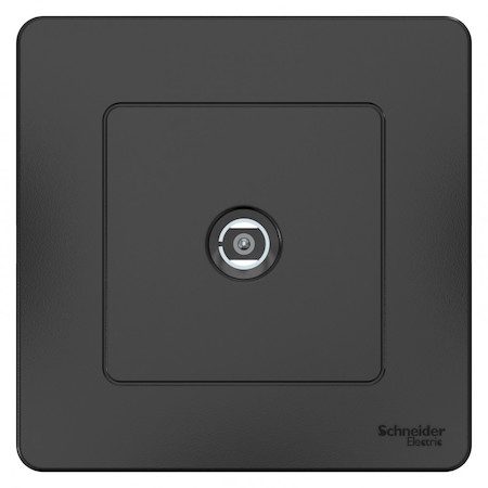 Schneider Electric BLNTS000016 BLANCA С/У КОННЕКТОР ТВ, АНТРАЦИТ