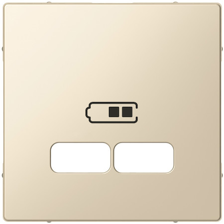 Schneider Electric MTN4367-0344 MERTEN ЦЕНТРАЛЬНАЯ НАКЛАДКА для USB механизма 2,1А, БЕЖЕВЫЙ, SM