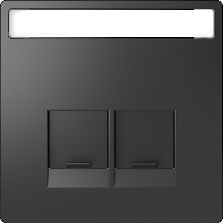 Schneider Electric MTN4574-6034 MERTEN D-Life ЦЕНТР. НАКЛАДКА д/2-х мод. разъемов SE, с пол. д/надп. АНТРАЦИТ