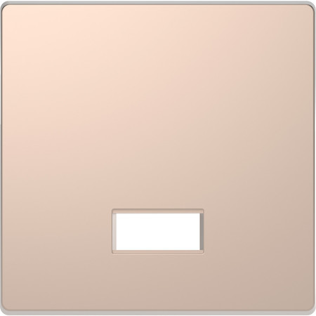 Schneider Electric MTN3350-6051 MERTEN D-Life КЛАВИША с полем д/символа, ШАМПАНЬ