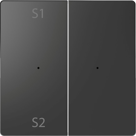Schneider Electric MTN5226-6034 MERTEN D-Life PlusLink КЛАВИША 2-ная с S1/S2, пусто, АНТРАЦИТ, SD